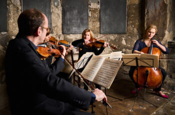 Ensemble 360 string musicians in performance