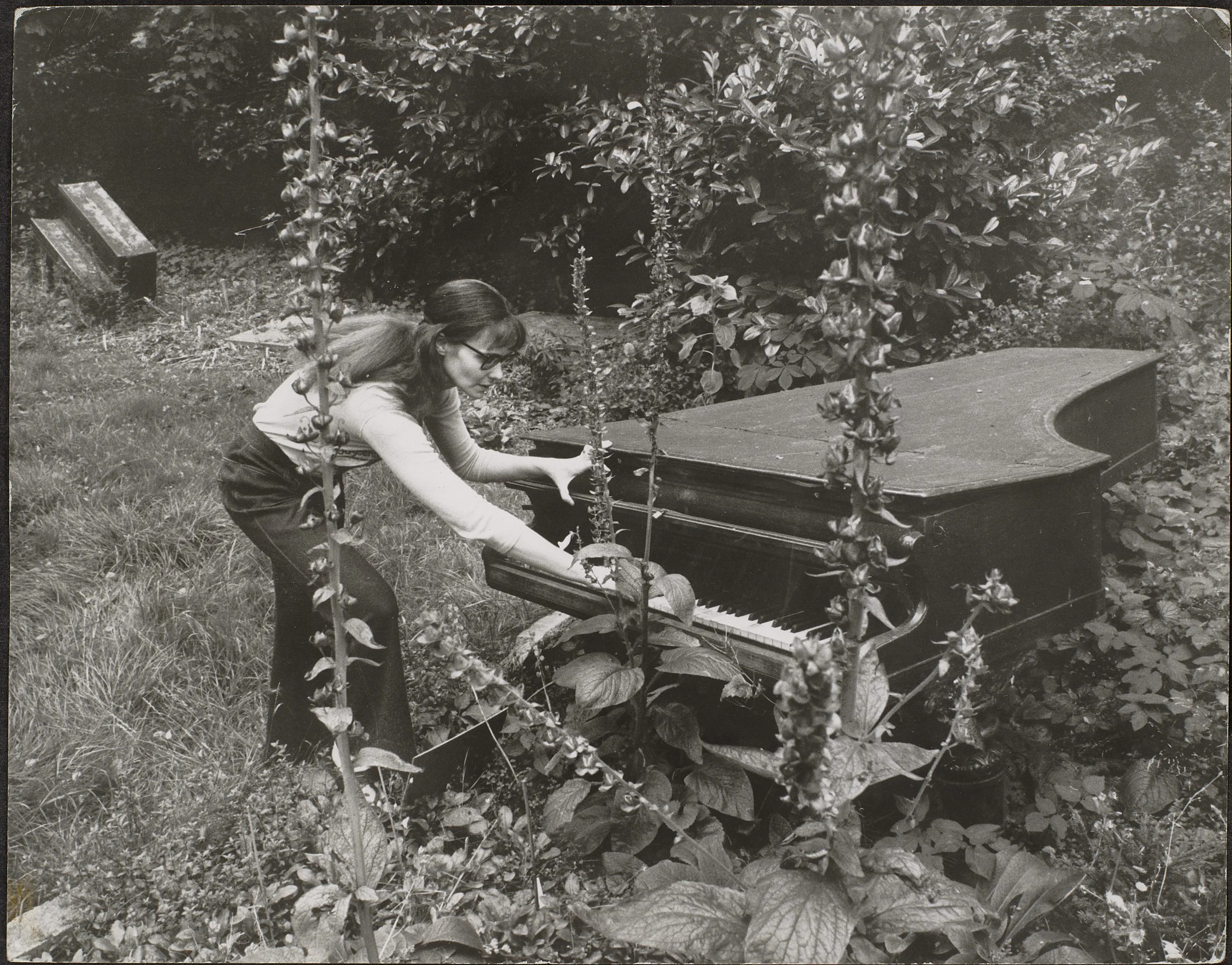 Piano Garden, photo by Chris Ware
